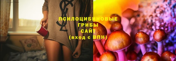 амф Белоозёрский