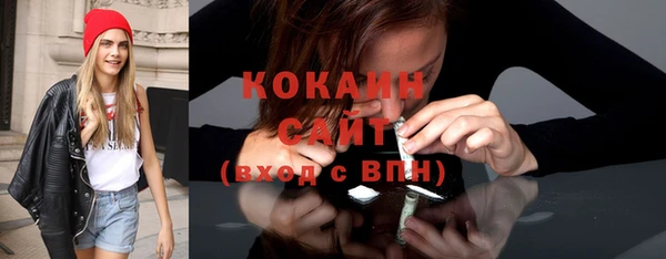 стаф Богданович