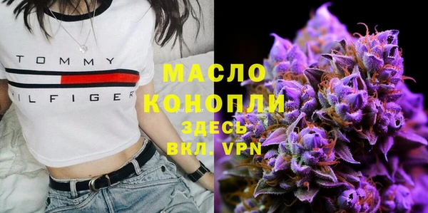 стаф Богданович