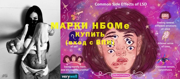 спиды Богородицк