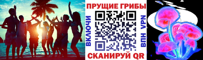 купить  сайты  Волгореченск  Галлюциногенные грибы мухоморы 